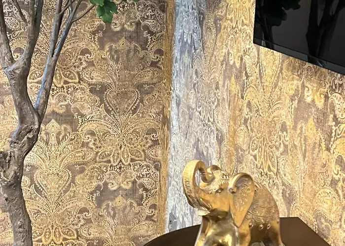 Theresa راكفيري